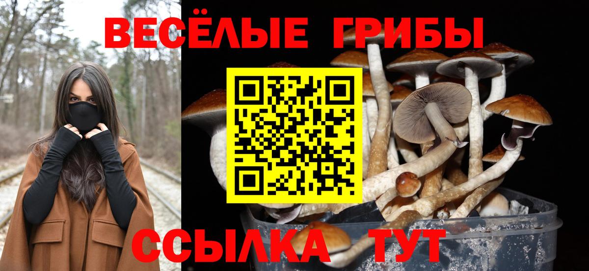 Галлюциногенные грибы прущие грибы  Вход с VPN  Галлюциногенные грибы прущие грибы  Буйнакск 